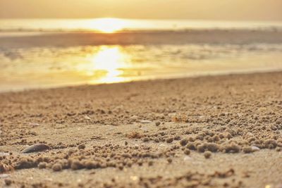 Surface level of beach against sky during sunset