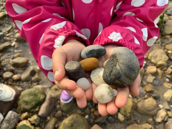 High angle view of person holding pebbles