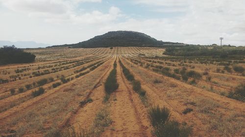 Scenic view of field against cloudy sky