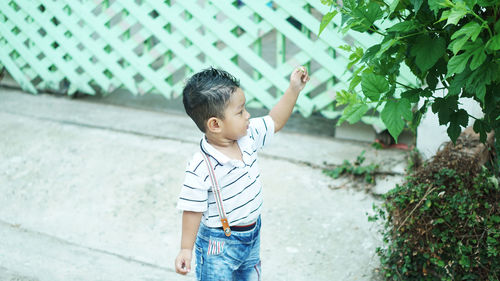 Cute baby boy standing by plants on footpath