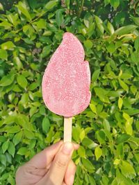 Close-up of hand holding ice cream