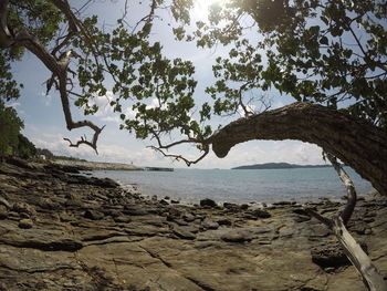 Scenic view of sea against sky