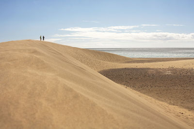 Scenic view of desert against sky