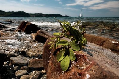 Close-up of rocks by sea against sky