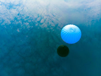 Close-up of jellyfish swimming in sea