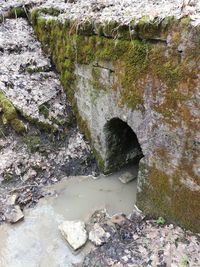 Close-up of water on rock