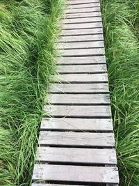 High angle view of boardwalk on field