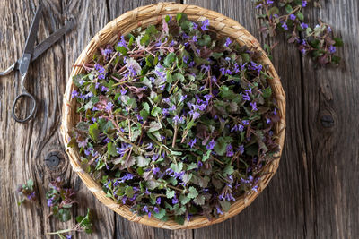 Directly above shot of potted plants in basket