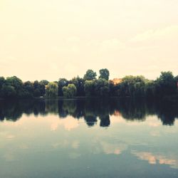 Reflection of trees in calm lake