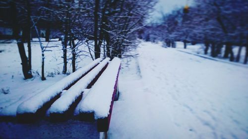 Snow covered road along trees