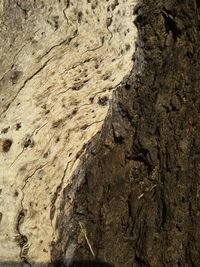 Full frame shot of stone wall