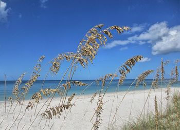 View of calm sea against blue sky