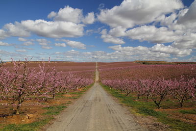 Scenic view of road amidst field against sky