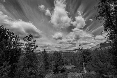 Scenic view of landscape against cloudy sky