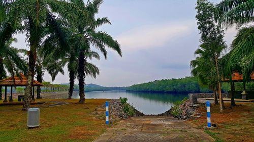 Scenic view of palm trees by lake against sky