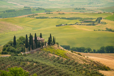 Scenic view of agricultural field in tuscany
