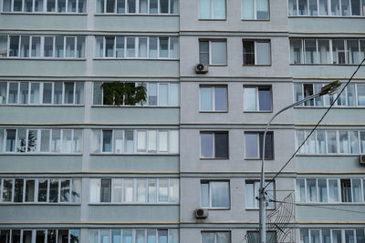 Window with green plants between empty windows