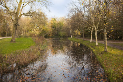 Scenic view of canal amidst trees in forest