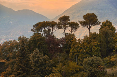 Scenic view of tree mountains against sky during sunset