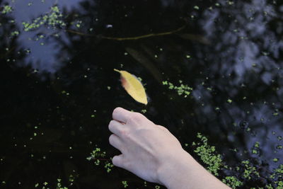 Cropped hand of woman over lake