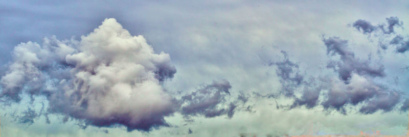 Low angle view of trees against sky