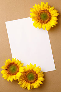Directly above shot of sunflower on table
