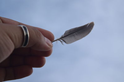 Close-up of hand holding feather against sky