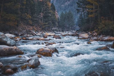 River flowing through rocks in forest