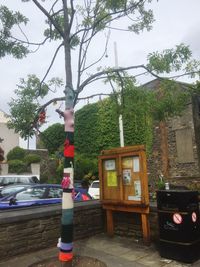 Information sign by tree against sky