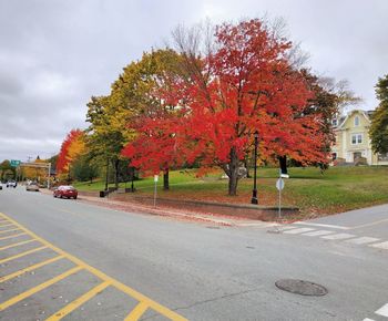 Road by trees in city against sky