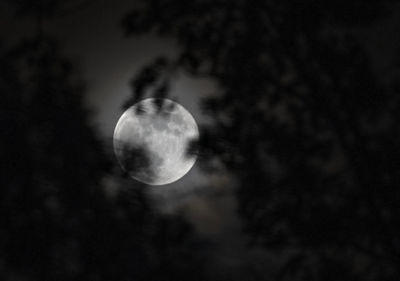 Low angle view of moon against sky