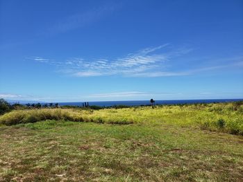 Scenic view of field against blue sky