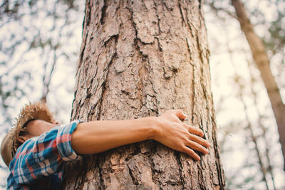 Close-up of hands on tree trunk