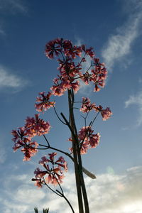 sky
