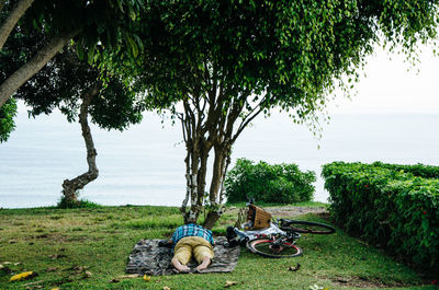 Man relaxing of field by trees against sea