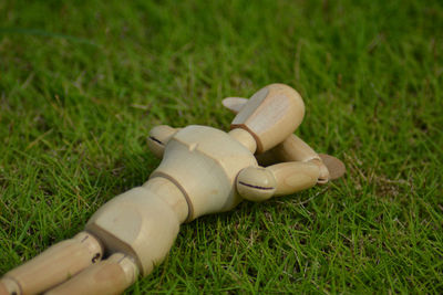 Close-up of stuffed toy on field