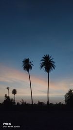 Low angle view of silhouette palm trees against sky during sunset