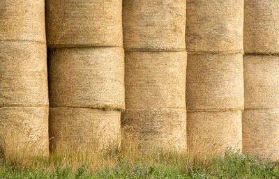 Close-up of grass