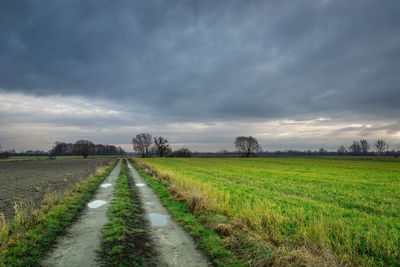 Road passing through agricultural field against sky