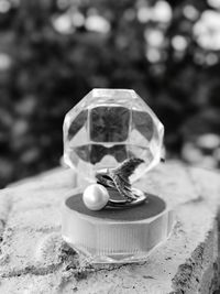 Close-up of stone glass on rock