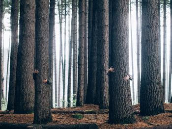 People hugging tree in forest