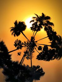 Low angle view of silhouette palm trees against sky during sunset