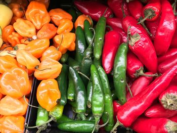 Close-up of multi colored chili peppers for sale in market