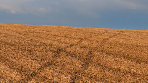 Scenic view of agricultural field against sky