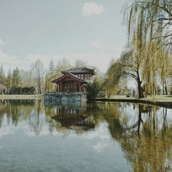 Reflection of trees in water