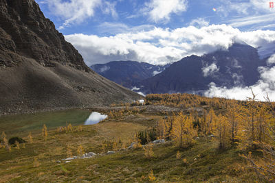 Scenic view of landscape against sky