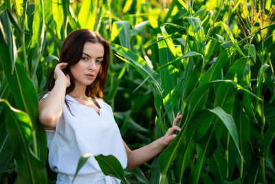 Young beautiful woman with brown hair in the corn field.