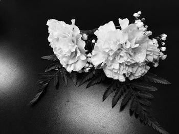 Close-up of white flowers