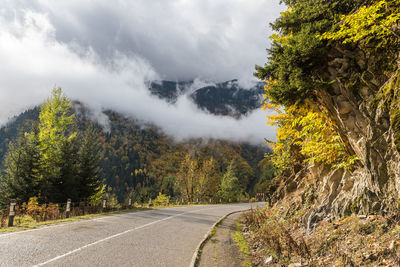 Road by trees against sky