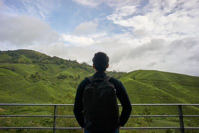 Rear view of man looking at tea plantation against sky